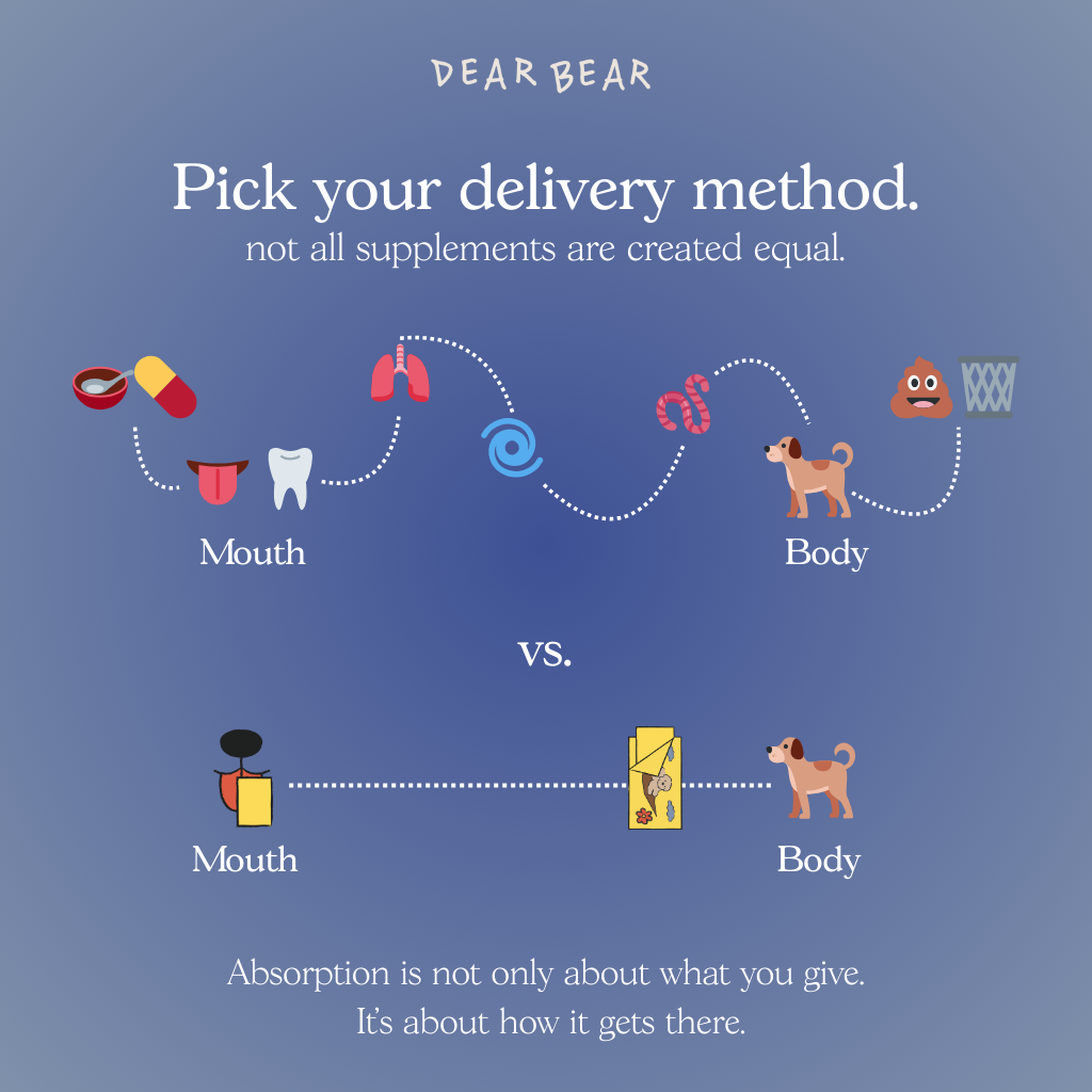 Illustration with text about supplement delivery methods on a blue background