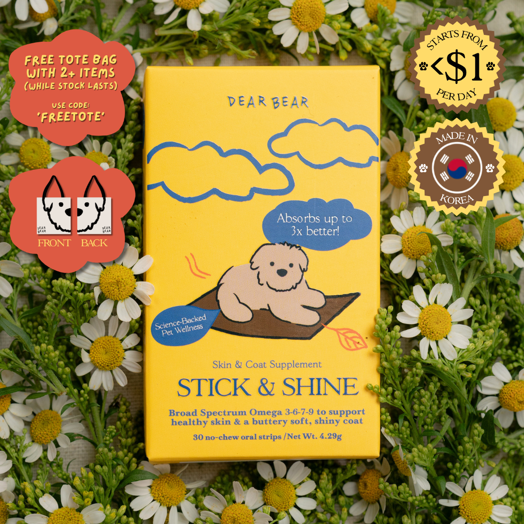 STICK & SHINE